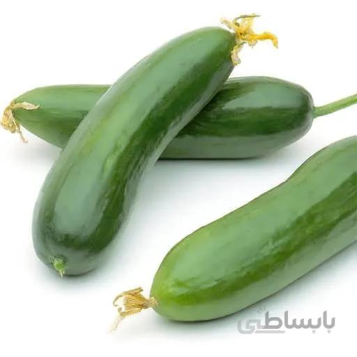بذر خیار قشم نیو ورد هیبرید