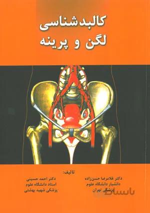 کالبدشناسی لگن و پرینه