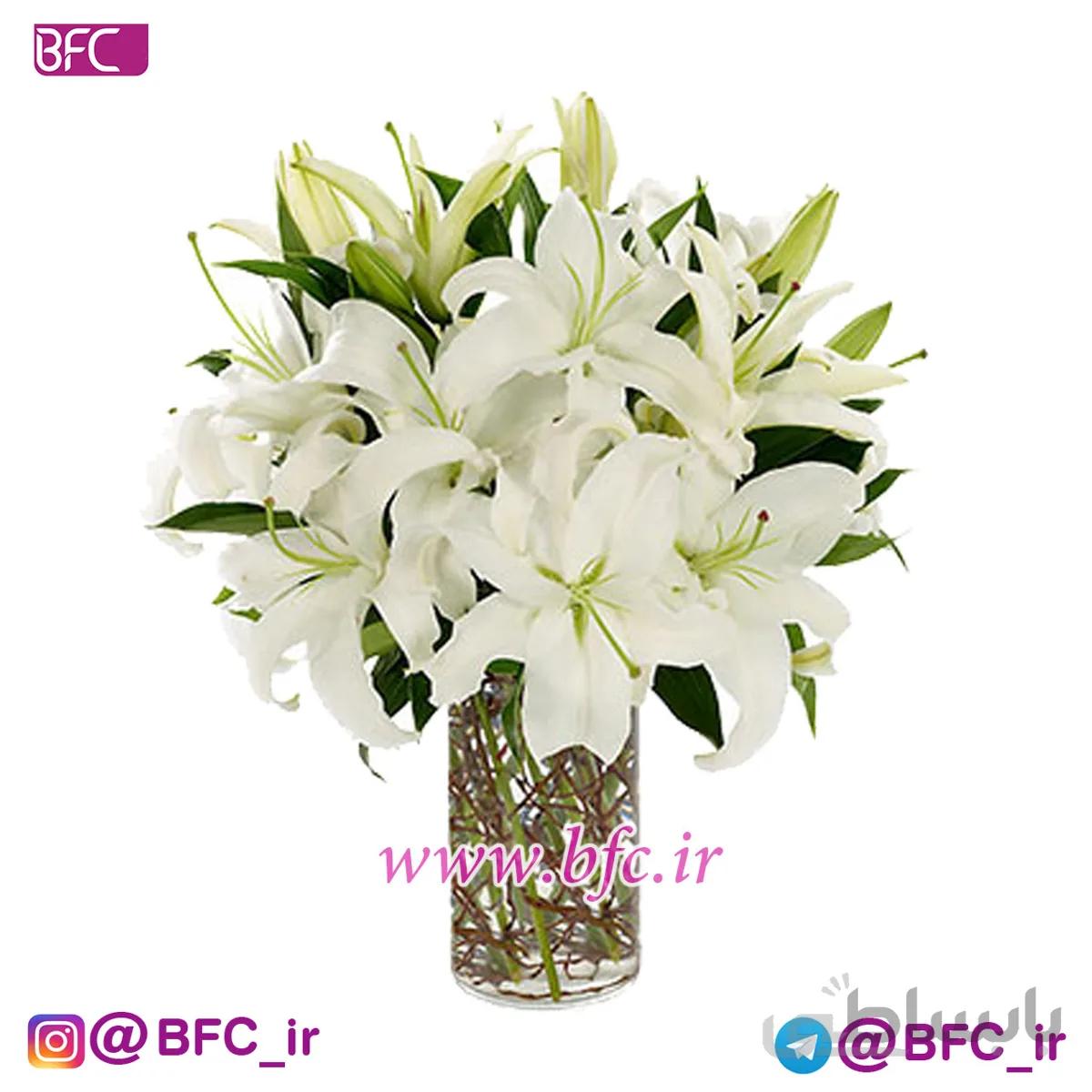 گلدان لیلیوم
