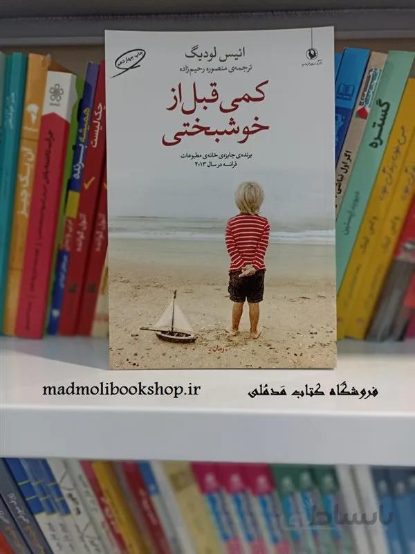 کتاب کمی قبل از خوشبختی اثر انیس لودیگ