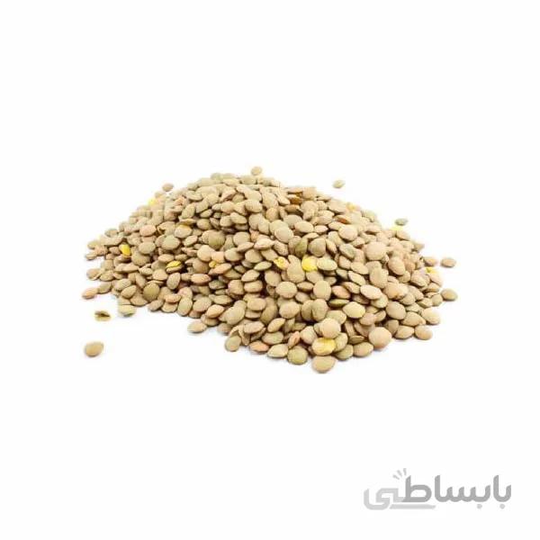 عدس درشت روس بار نو در بسته 5 کیلوگرمی ا large russian lentil