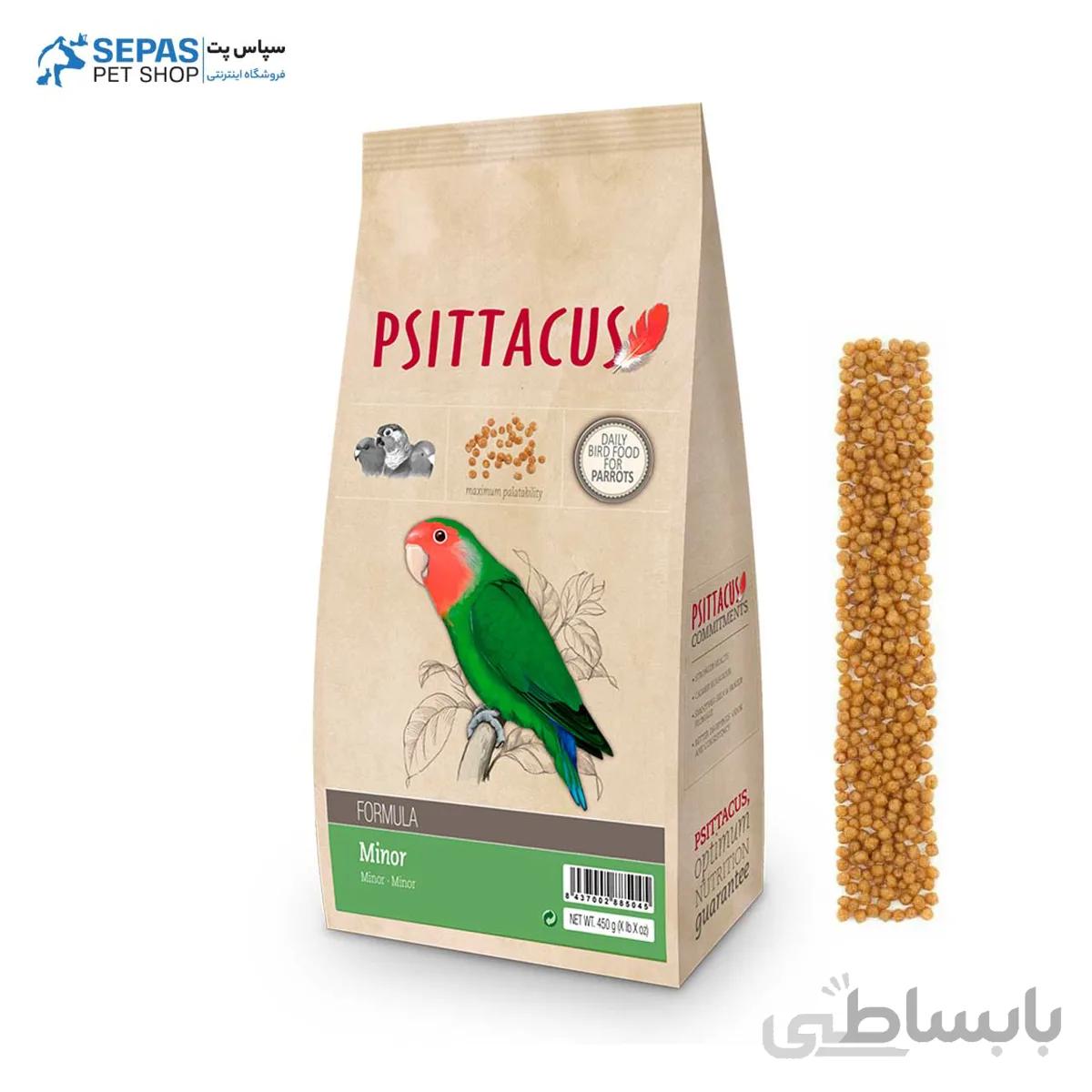 پلت مینور سیتاکوس minor psittacus طوطی سانان
