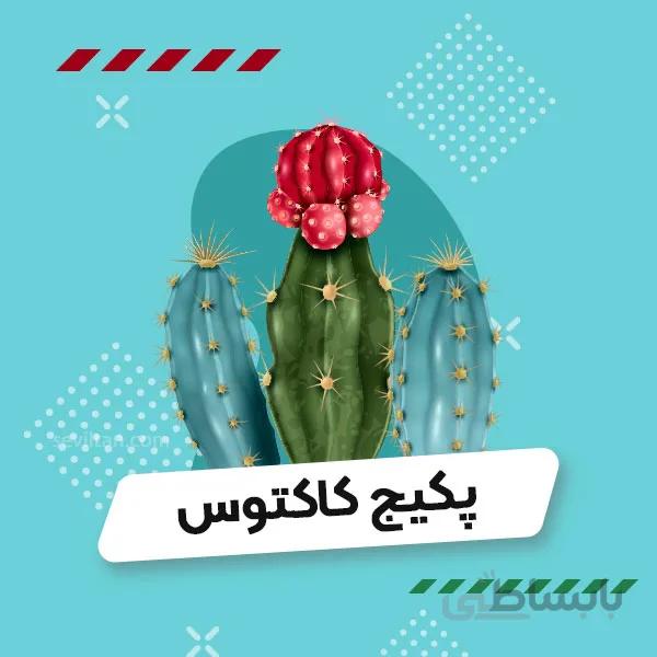 پکیج خاردار کاکتوس
