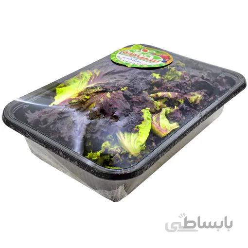 کاهو فرانسوی قرمز یک - 1 بسته