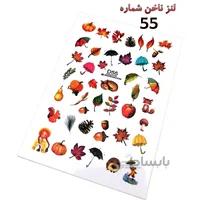 لنز ناخن D55