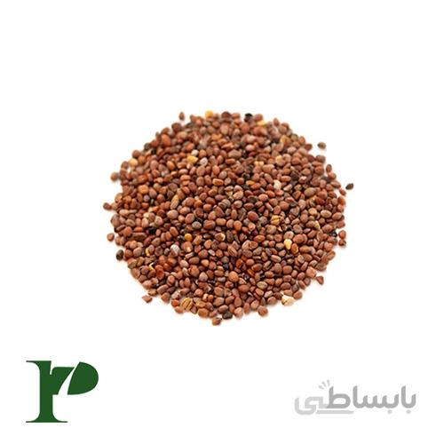 بذر تربچه بستهی 100 گرمی