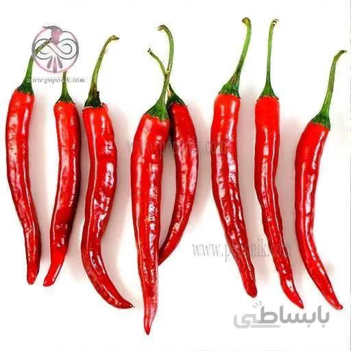 بذر فلفل قرمز