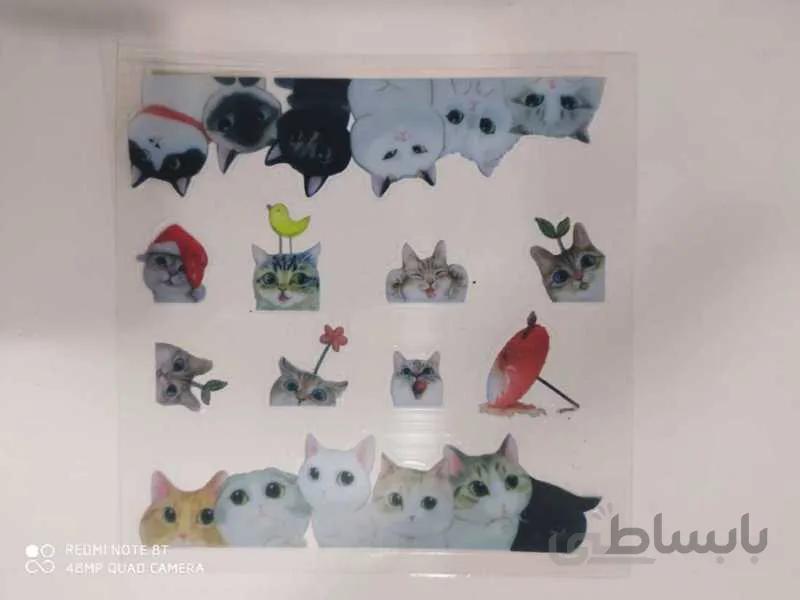 ترنسفر cat