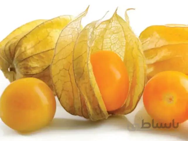 بذر فیسالیس غول آسیا بسته ۳۰ عددی