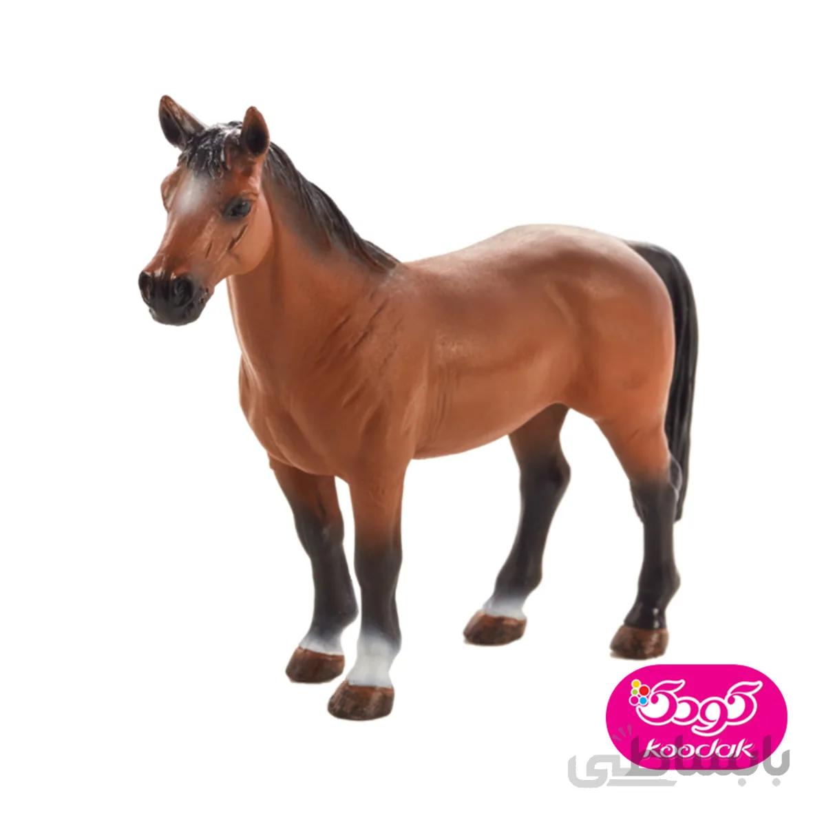 اسب 387350 – حیوانات موجو