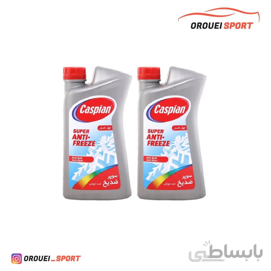 ضدیخ و ضدجوش خودرو کاسپین مدل چهار فصل حجم 1لیتر بسته 2 عددی