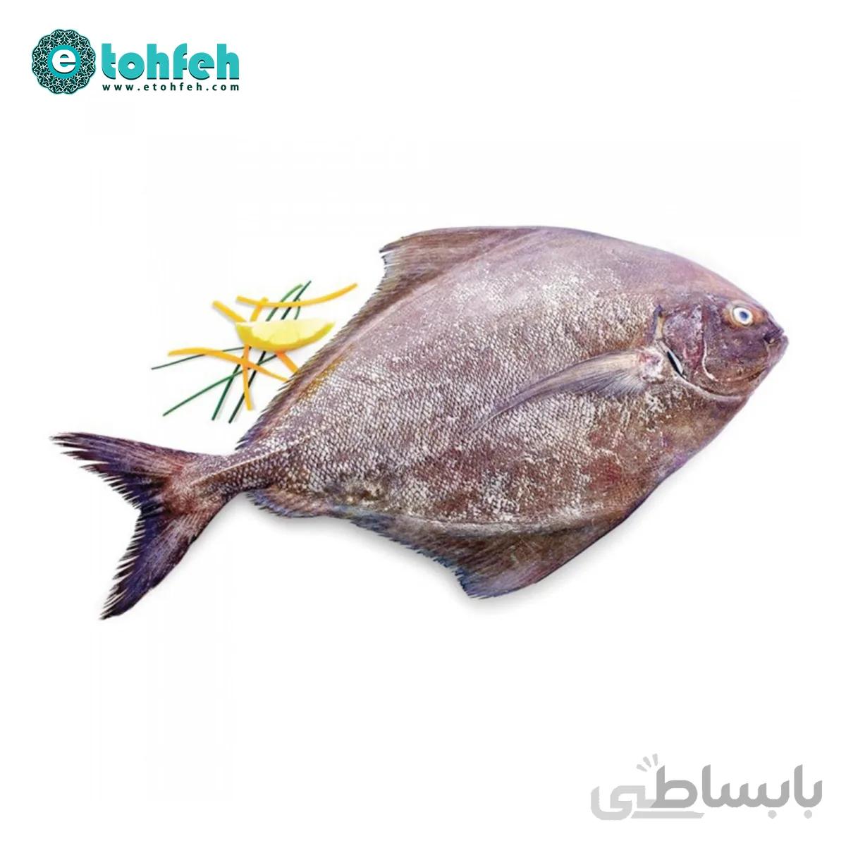 ماهی حلوا سیاه
