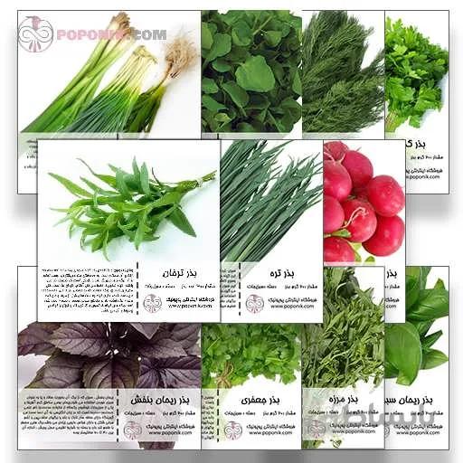 مجموعه بذر سبزی خوردن