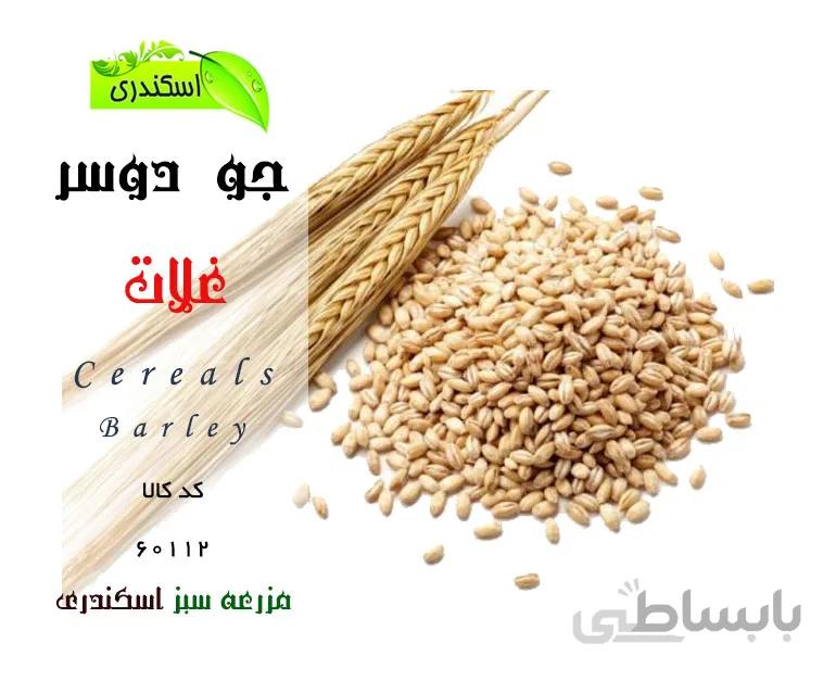 جودوسر ایرانی ارگانیک