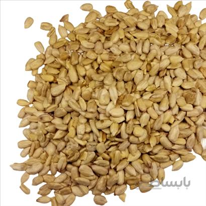 مغز تخمه 500 گرم
