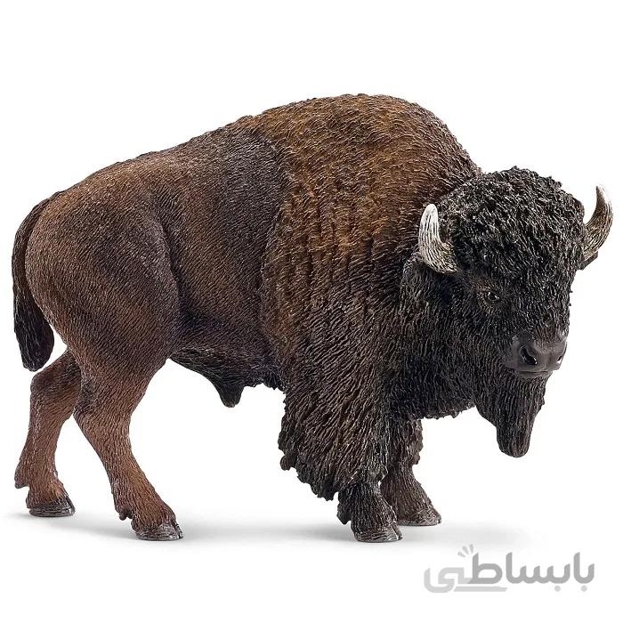 بوفالو کوهان دار آمریکایی American Bison Buffalo 387024