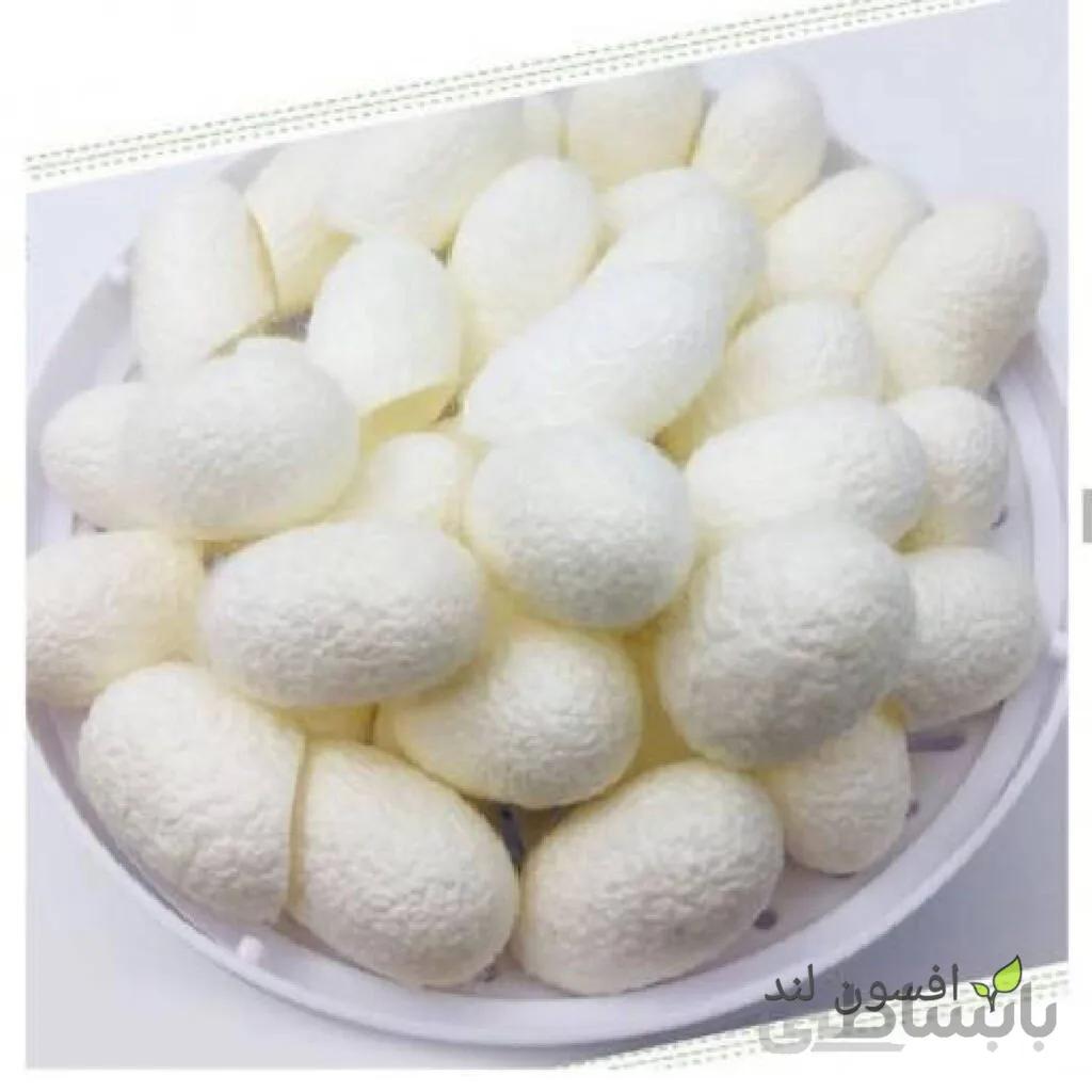 پیله ابریشم بسته 10 عددی