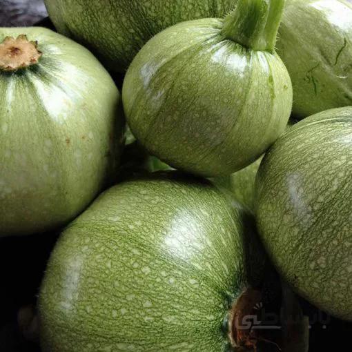 بذر کدو دلمه سبز کم رنگ بسته ۲۰ عددی