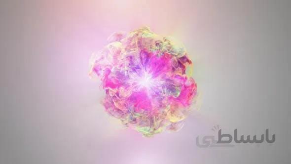 پروژه اماده افترافکت لوگو گل Colorful Flowers Logo Reveal 17182581