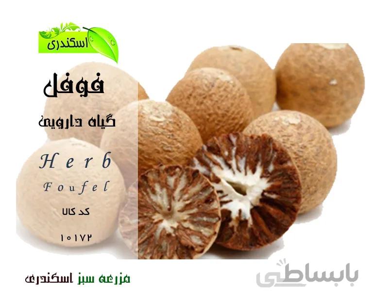 گیاه فوفل