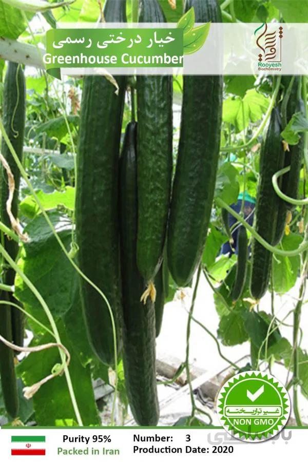 بذر خیار درختی رسمی درجه یک