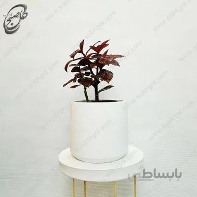 سفارش گل آنلاین – فردوس طرح F-018