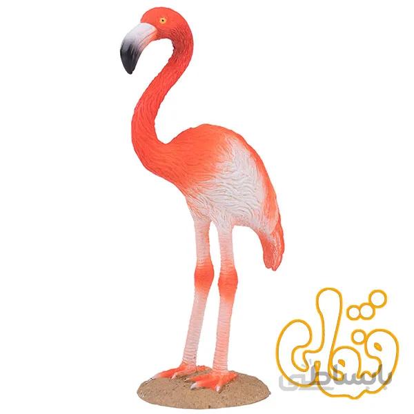 فلامینگوی آمریکایی American Flamingo 387134