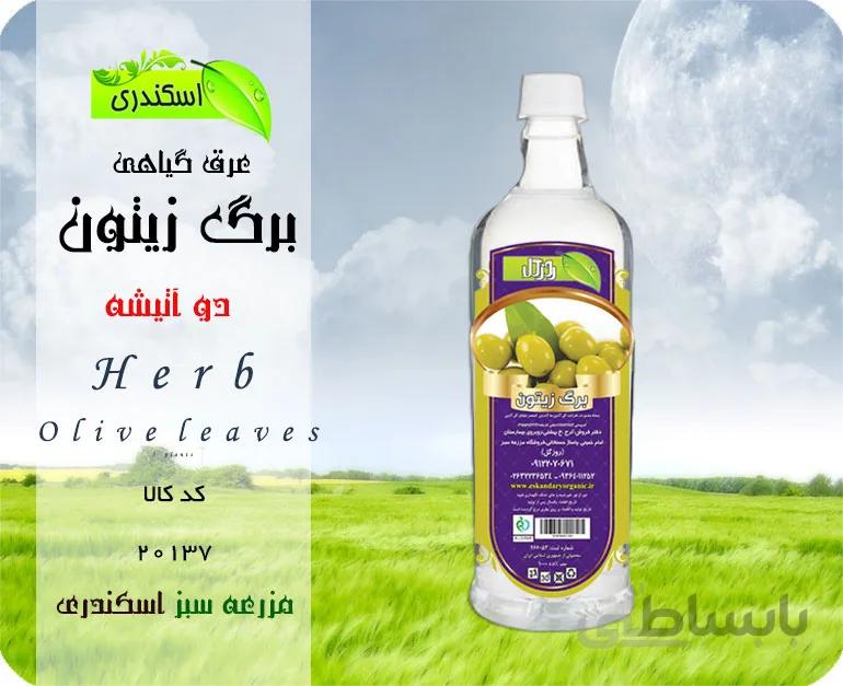 عرق برگ زیتون اصل
