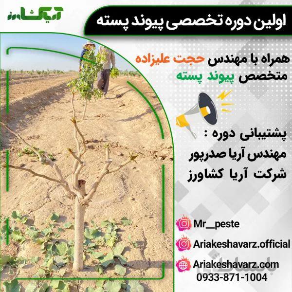 دوره تخصصی پیوند پسته