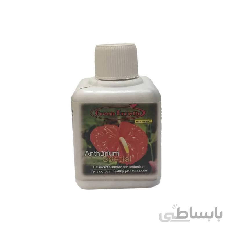 کودمخصوص آنتوریوم، پوکون هلند