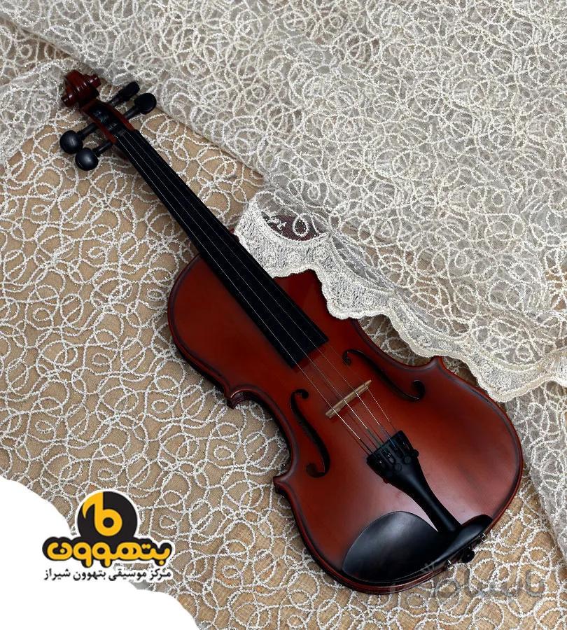 ویولن هافنر060