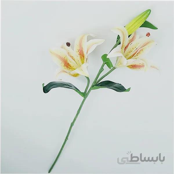 یک شاخه لیلیوم