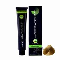 رنگ مو گانسا شماره As9 حجم 100 میلی لیتر رنگ هلی ا GANECA Hair Color Cream Cardamon 100ml No: As9