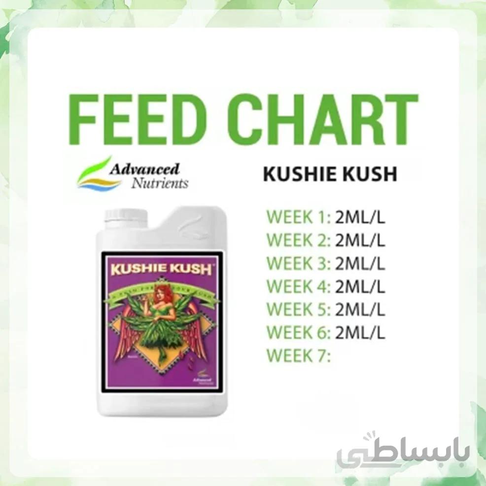 کود ادونس Kushie Kush