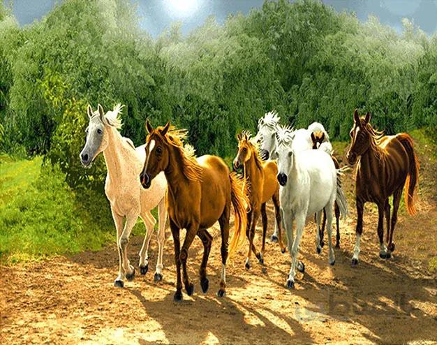 نخ و نقشه طرح اسب ها کد 637