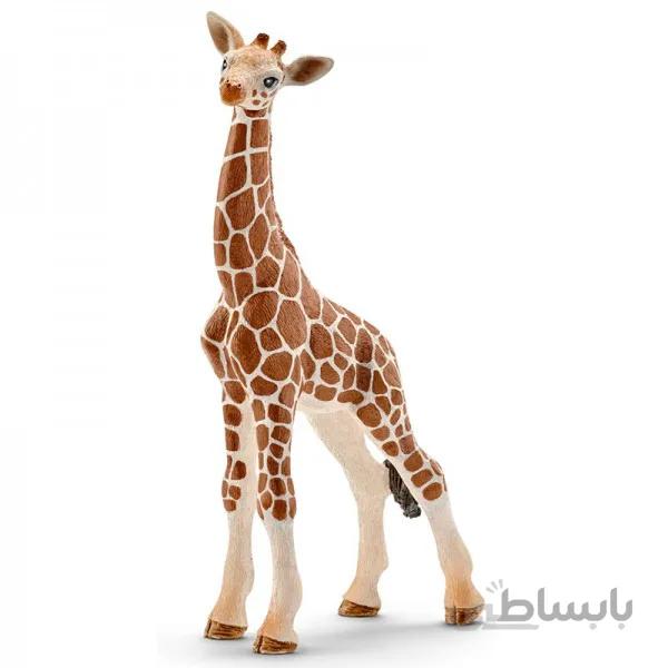 بچه زرافه اشلایش 14751