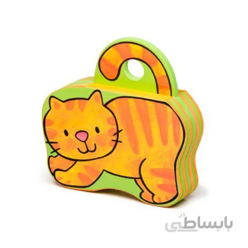 کتاب فومی پیشی دلش دوست میخواد
