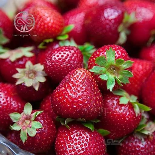 بذر توت فرنگی گاویتا