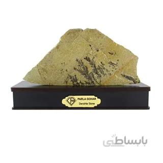 سنگ شجر فسیلی (دندریتی ) کد 2346 ا قیمت به شرط خرید تیمی