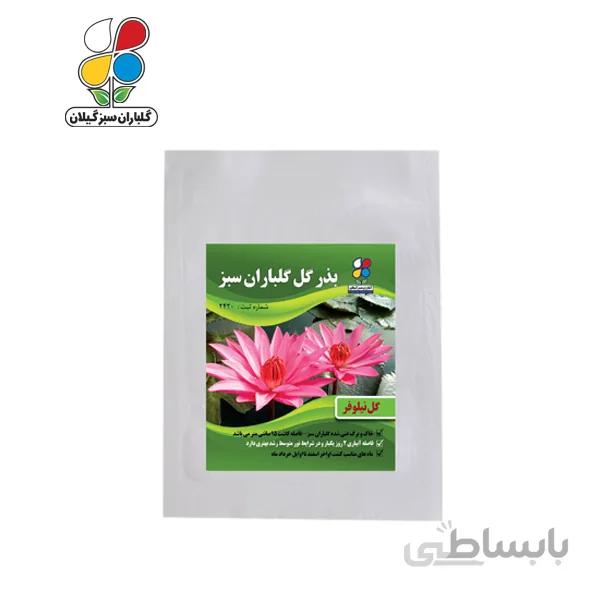 ( بسته 24 عددی ) بذر گل نیلوفر بزرگ