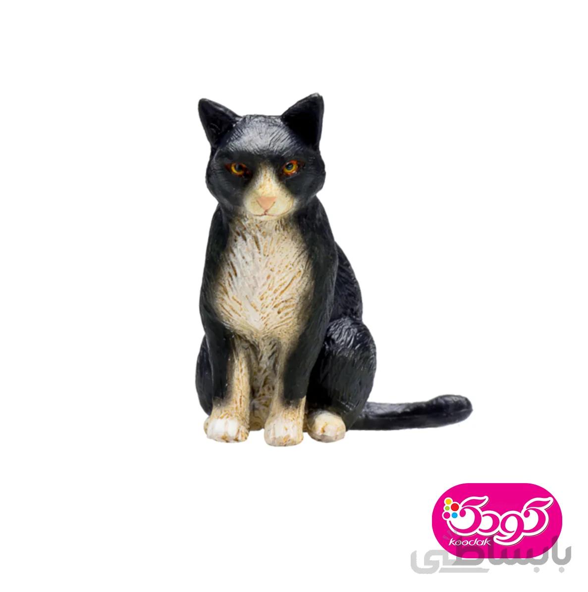 گربه نشسته 387371 – حیوانات موجو