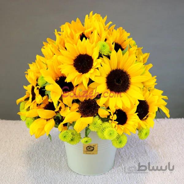 باکس گل آفتابگردان و داودی