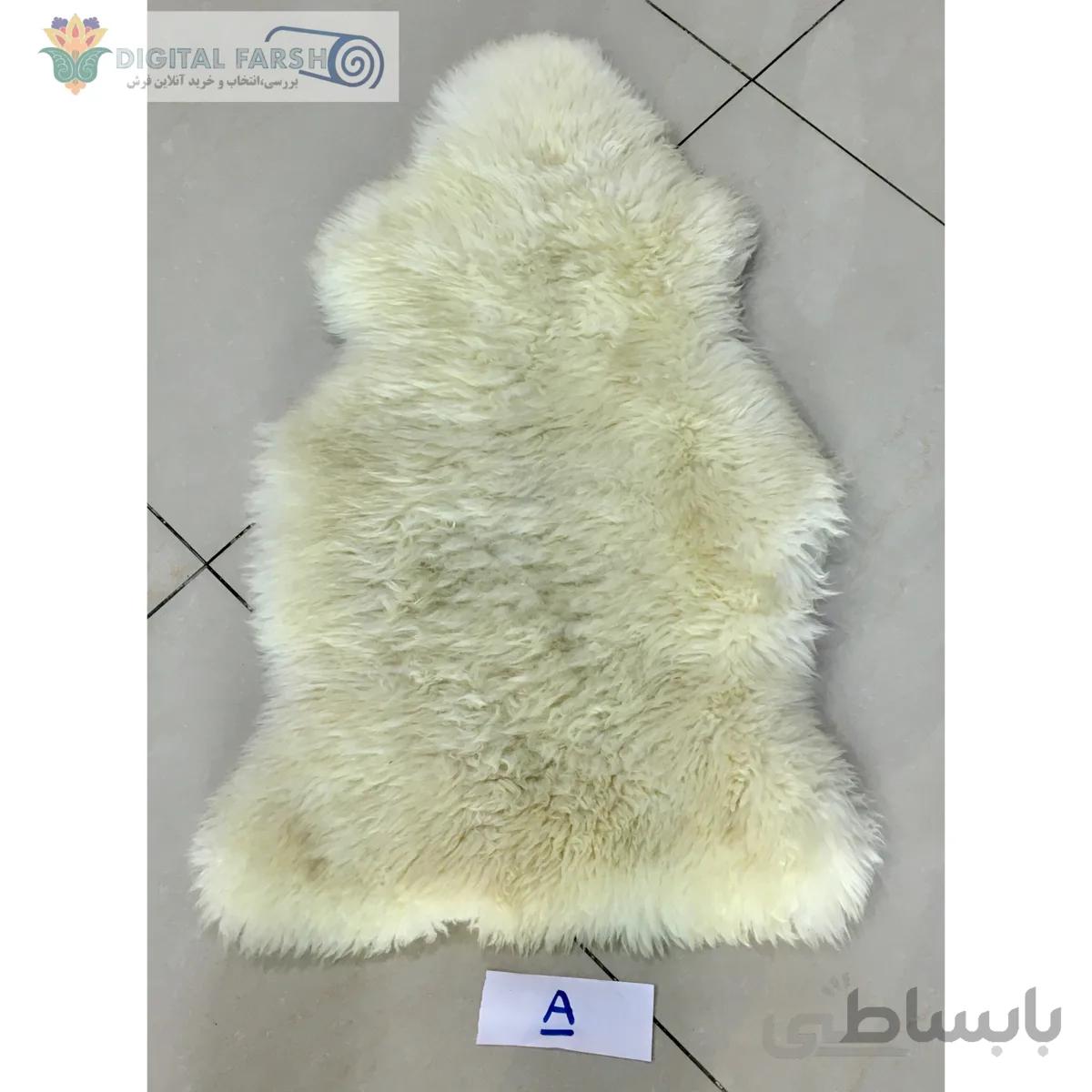 خز طبیعی گوسفند پشمی مرینوس سفید ا sheep wool