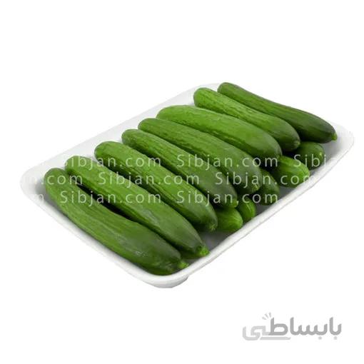 خیار اقتصادی - 1 کیلوگرم