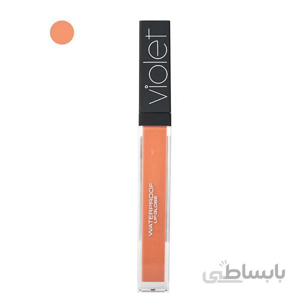 رژلب مایع ویولت مدل WATER PROOF شماره ۱۴۴