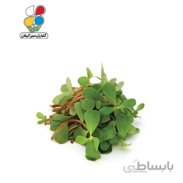 بذر خرفه بسته 3 عددی مدل GPSV7L