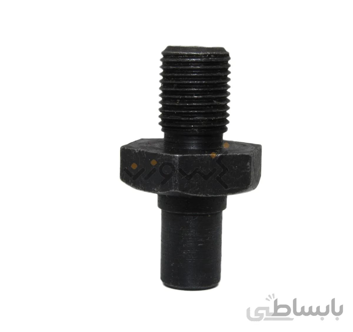 پیچ روی کله اسبی سرکیسه