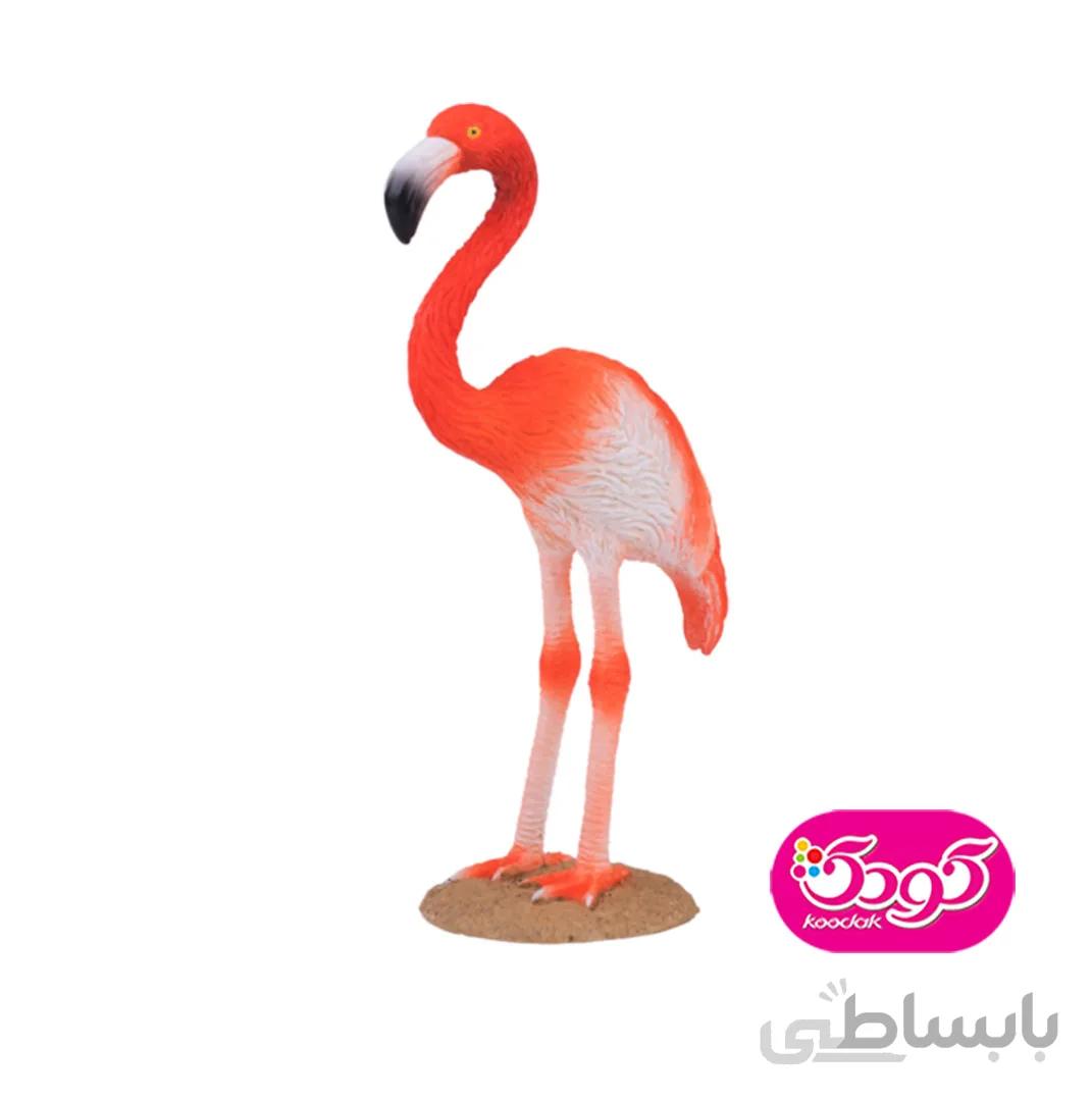 فلامینگو آمریکایی 387134 – حیوانات موجو
