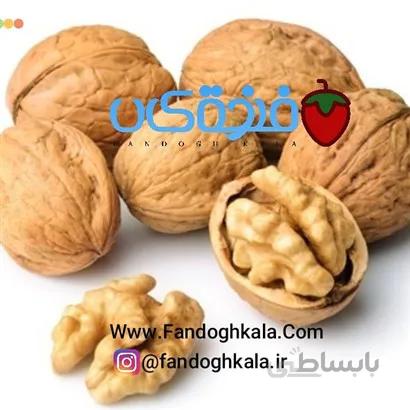گردو کاغذی 1کیلو