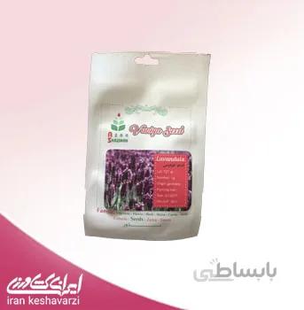 استوخودوس
